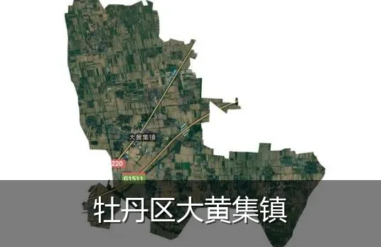 牡丹区大黄集镇