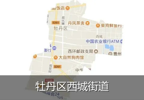 牡丹区西城街道
